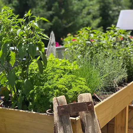 Residenz Hochalm - In -ski Out Hotel Saalbach-Hinterglemm