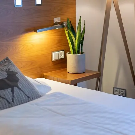 Residenz Hochalm - In -ski Out Saalbach-Hinterglemm