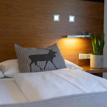 Residenz Hochalm - In -ski Out Hotel 4*