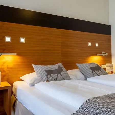 Residenz Hochalm - In -ski Out فندق سالباخ هينترغليم