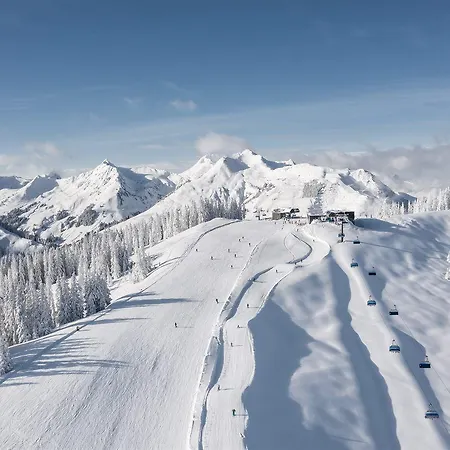 Ξενοδοχείο Hotel Residenz Hochalm - Ski In Ski Out Σάαλμπαχ-Χίντεργκλεμ